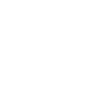 LogosWEB_Arancia-03